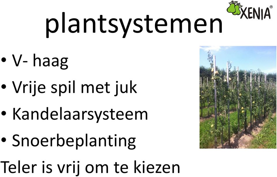 Kandelaarsysteem