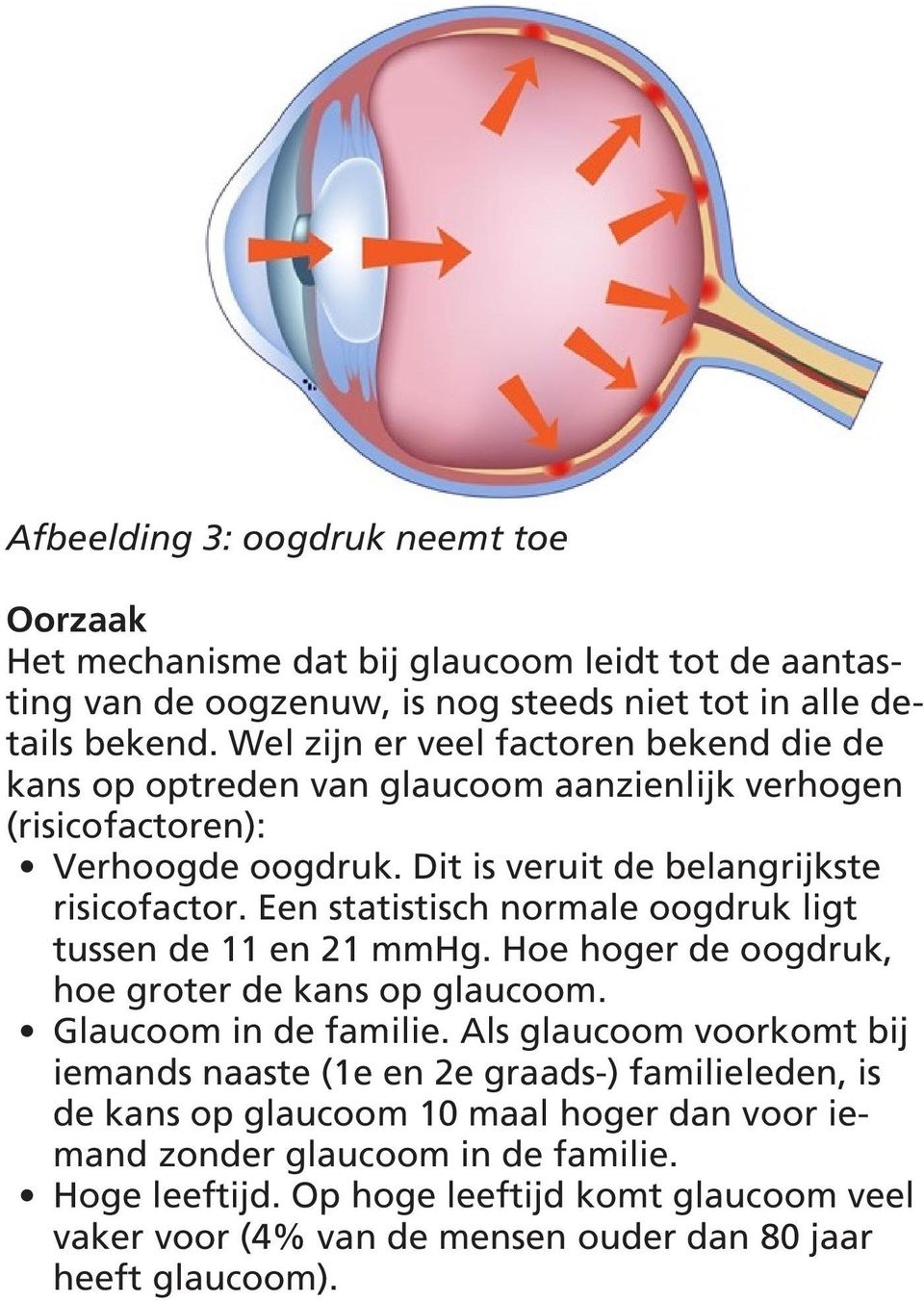 Een statistisch normale oogdruk ligt tussen de 11 en 21 mmhg. Hoe hoger de oogdruk, hoe groter de kans op glaucoom. Glaucoom in de familie.