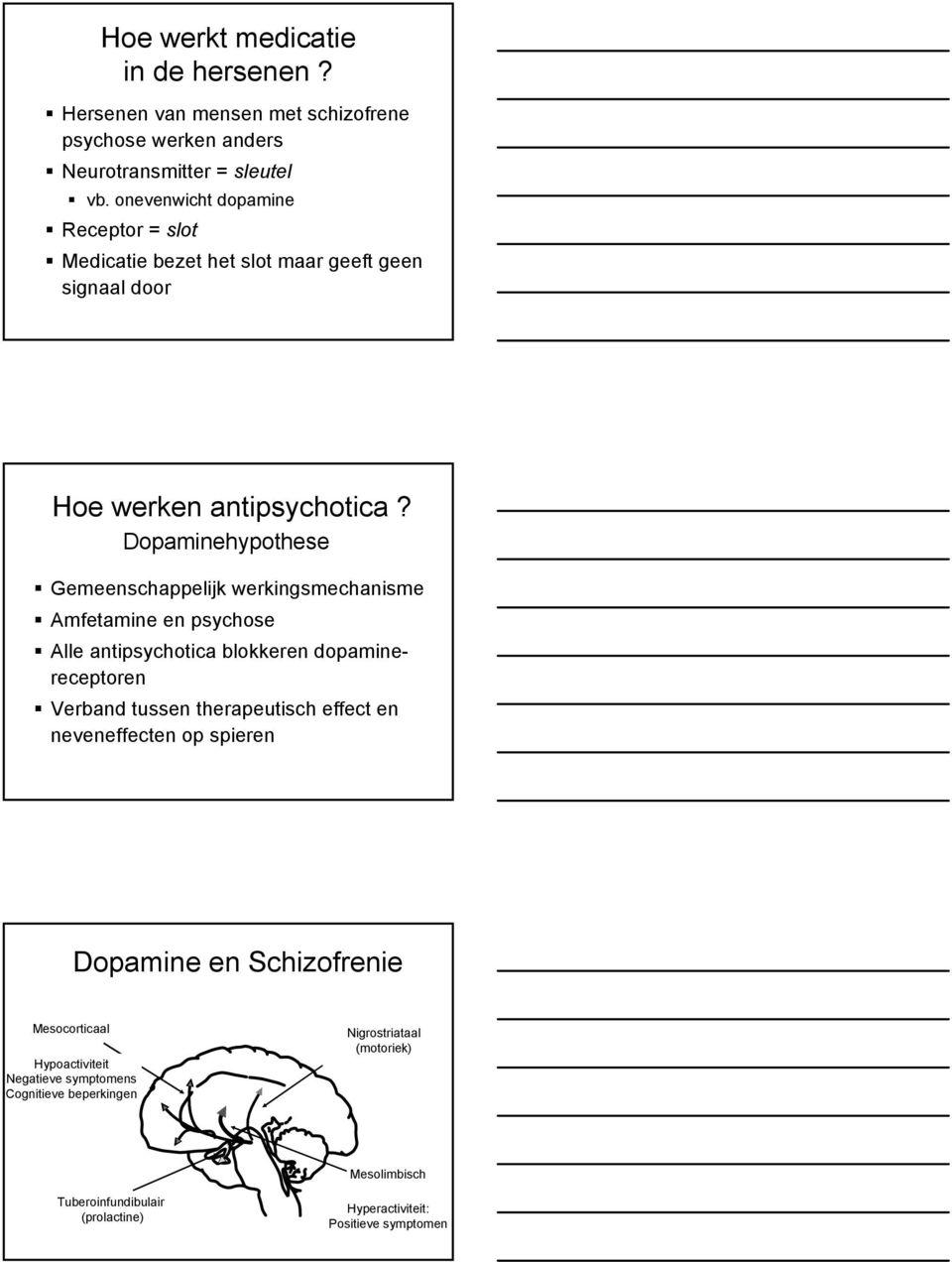 Dopaminehypothese Gemeenschappelijk werkingsmechanisme Amfetamine en psychose Alle antipsychotica blokkeren dopamine- receptoren Verband tussen therapeutisch