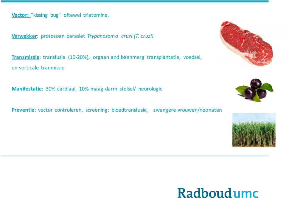 cruzi) Transmissie: transfusie (10-20%), orgaan and beenmerg transplantatie, voedsel,