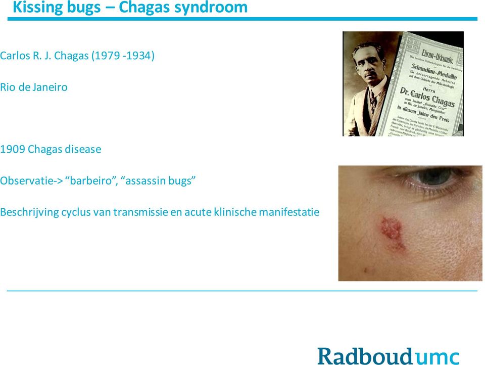 disease Observatie-> barbeiro, assassin bugs