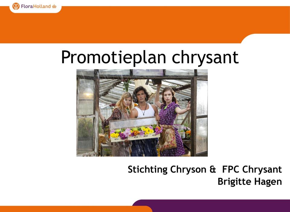 Stichting Chryson