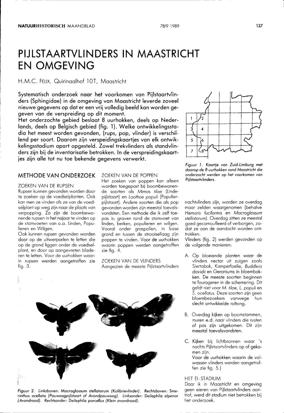 FELIX, Quirinaalhof lot, Maastricht Systematisch onderzoek naar het voorkomen van Pijlstaartvlinders (Sphingidae) in de omgeving van Maastricht leverde zoveel nieuwe gegevens op dat er een vrij