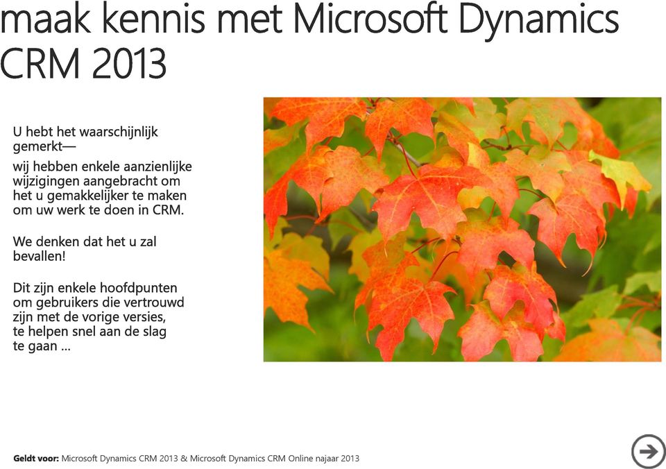 &  Dynamics CRM