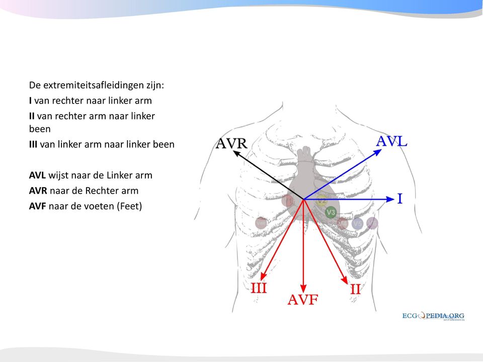 van linker arm naar linker been AVL wijst naar de