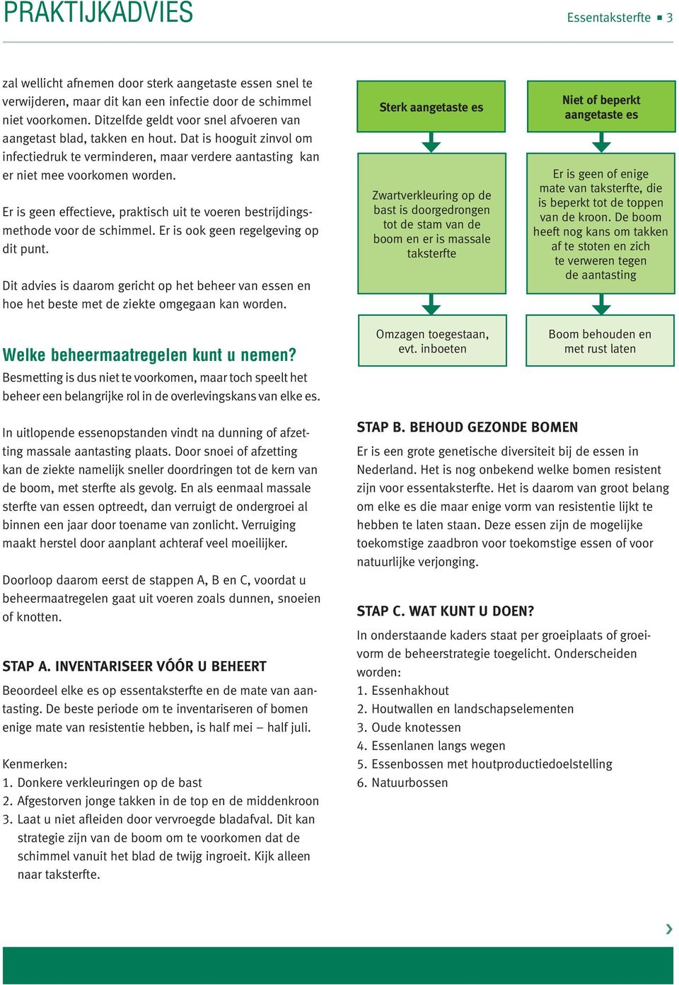 Er is geen effectieve, praktisch uit te voeren bestrijdingsmethode voor de schimmel. Er is ook geen regelgeving op dit punt.