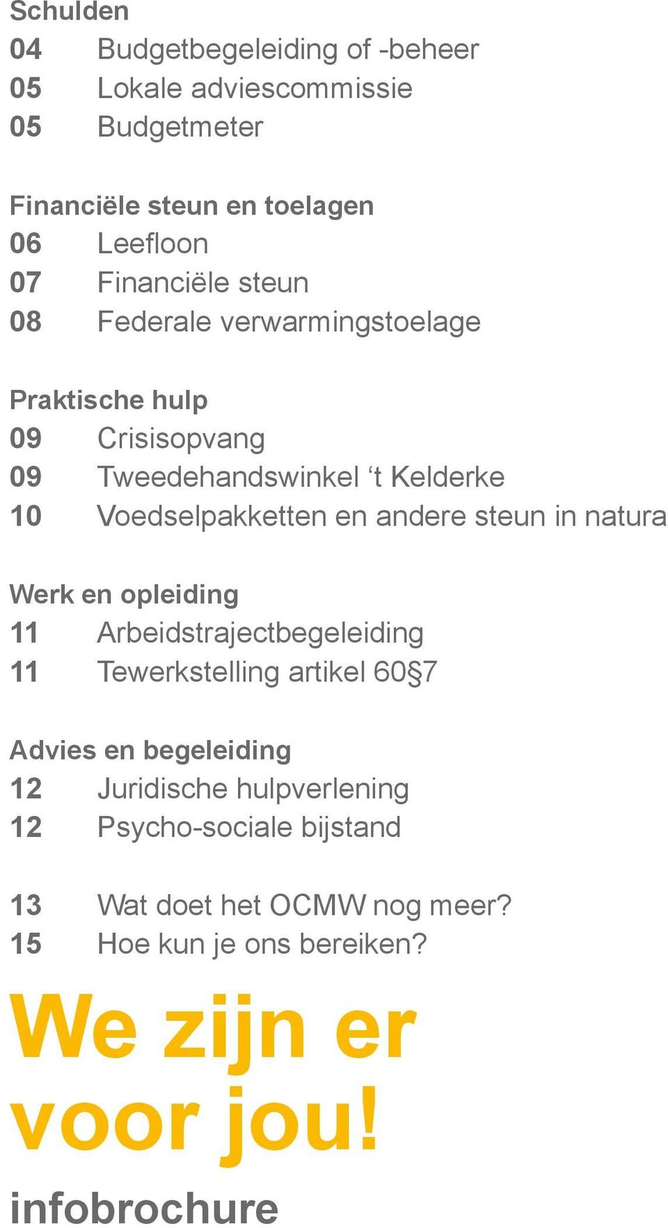 en andere steun in natura Werk en opleiding 11 Arbeidstrajectbegeleiding 11 Tewerkstelling artikel 60 7 Advies en begeleiding 12