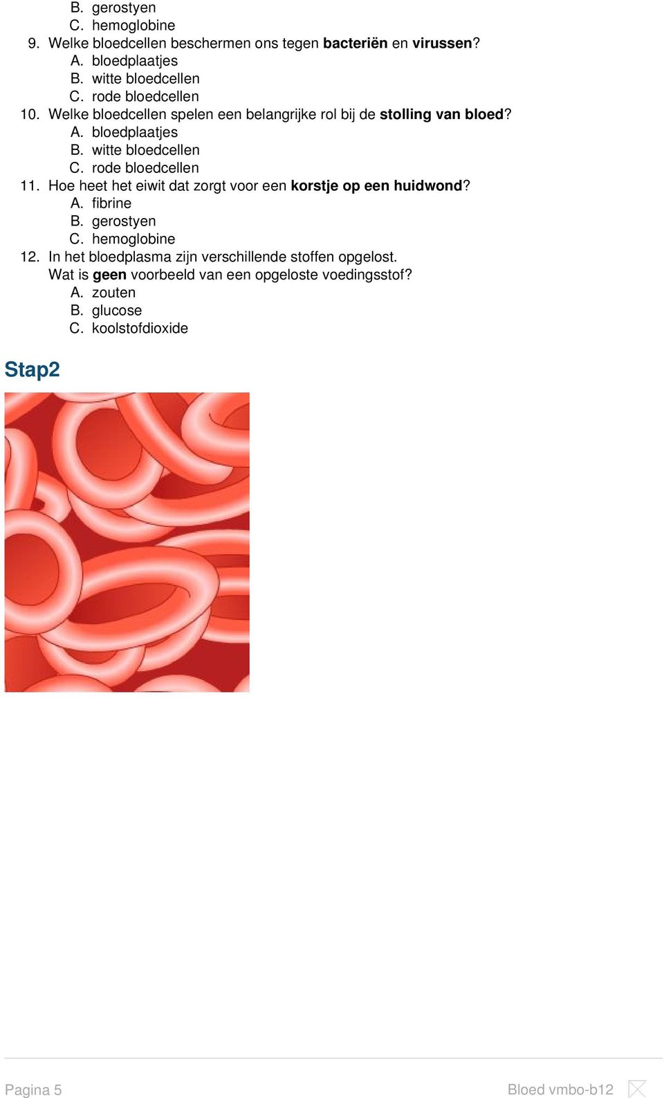 rode bloedcellen 11. Hoe heet het eiwit dat zorgt voor een korstje op een huidwond? A. fibrine B. gerostyen C. hemoglobine 12.