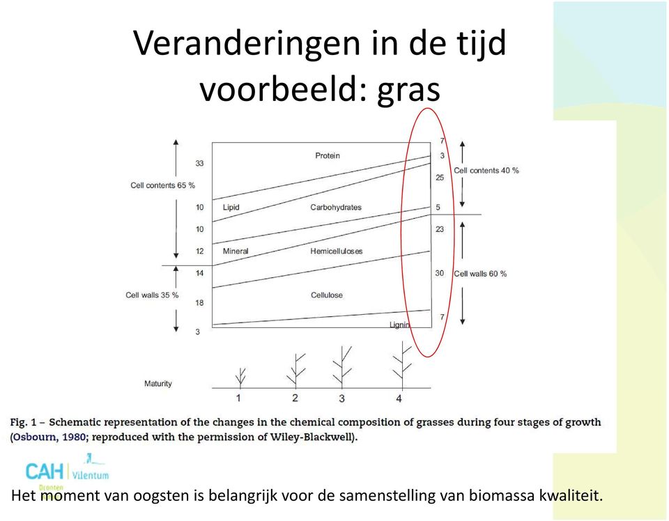 oogsten is belangrijk voor de