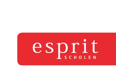 Reglement College van Bestuur Onderwijsstichting Esprit Amsterdam, vastgesteld, na goedkeuring door de Raad van