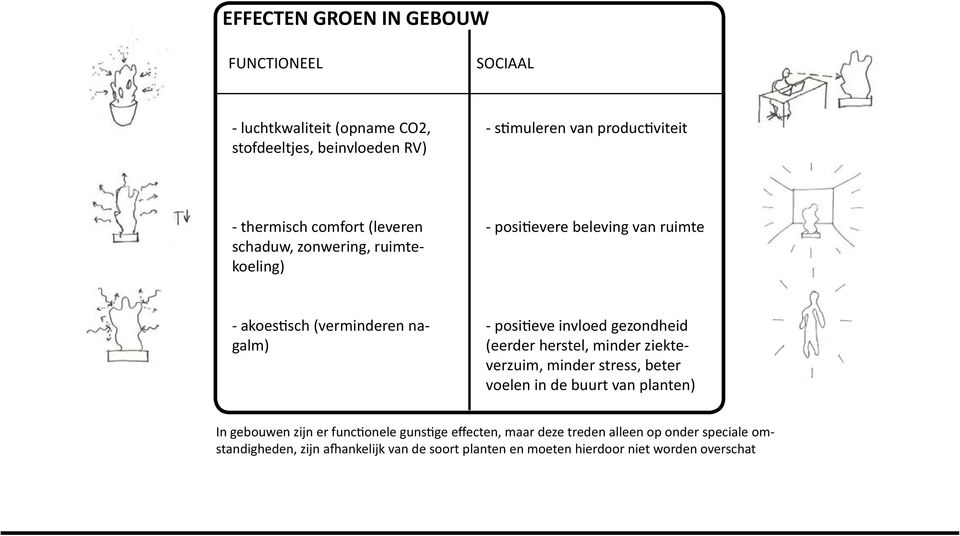 invloed gezondheid (eerder herstel, minder ziekteverzuim, minder stress, beter voelen in de buurt van planten) In gebouwen zijn er functionele