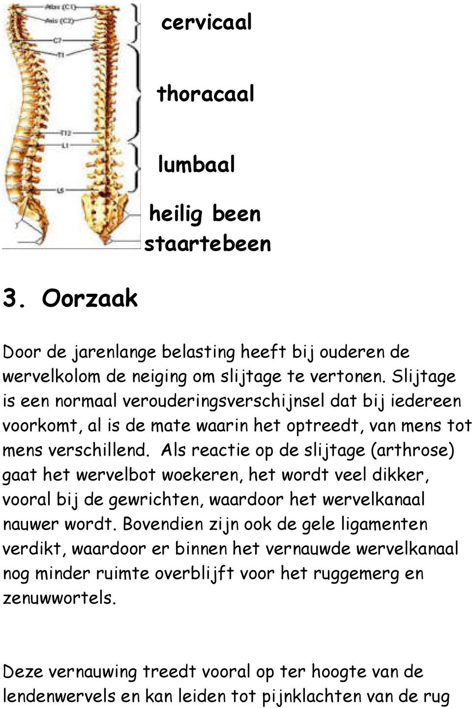 Als reactie op de slijtage (arthrose) gaat het wervelbot woekeren, het wordt veel dikker, vooral bij de gewrichten, waardoor het wervelkanaal nauwer wordt.