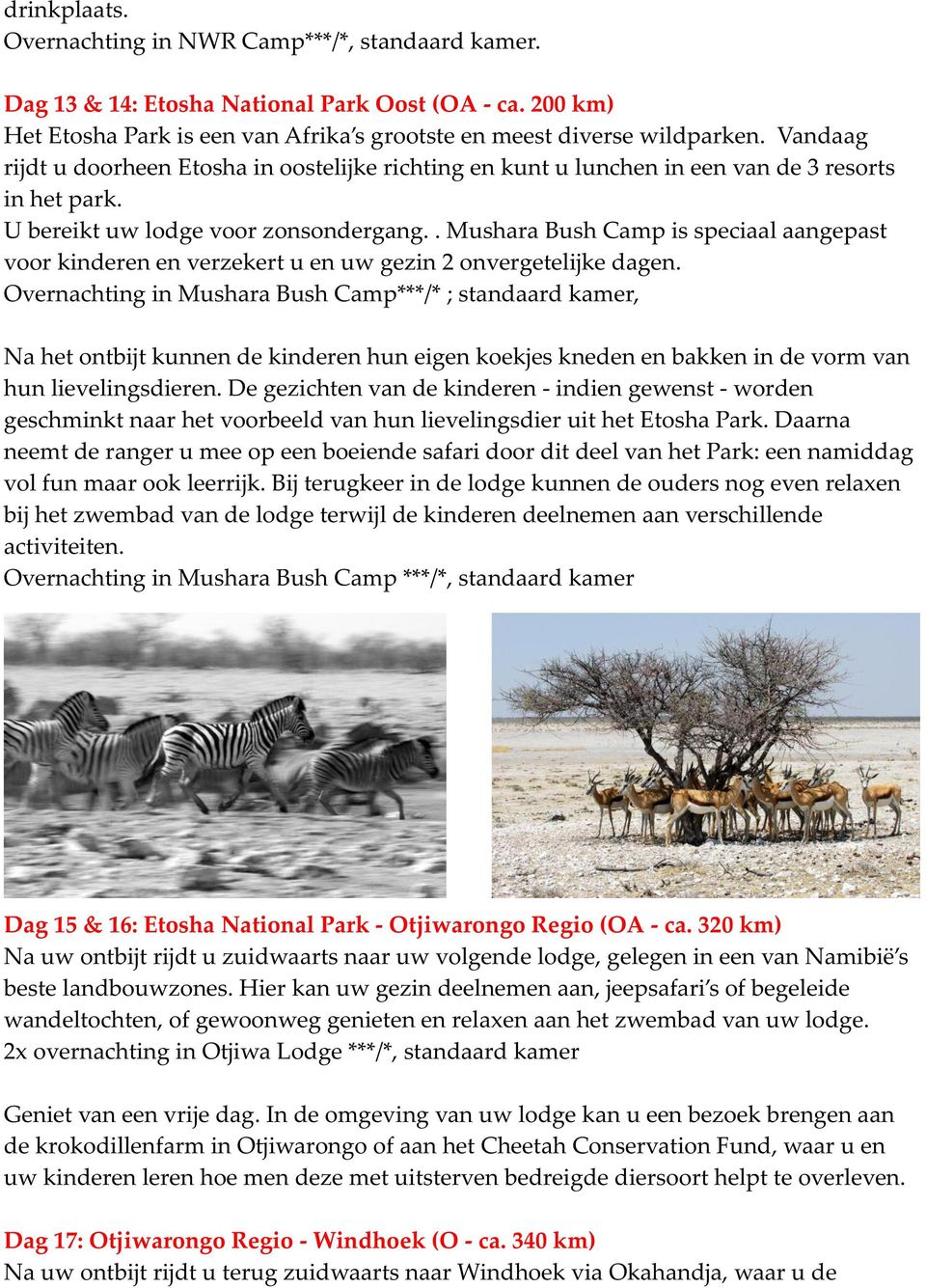 . Mushara Bush Camp is speciaal aangepast voor kinderen en verzekert u en uw gezin 2 onvergetelijke dagen.