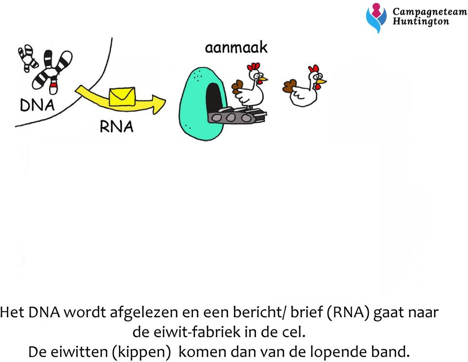 eiwit-fabriek in de cel.