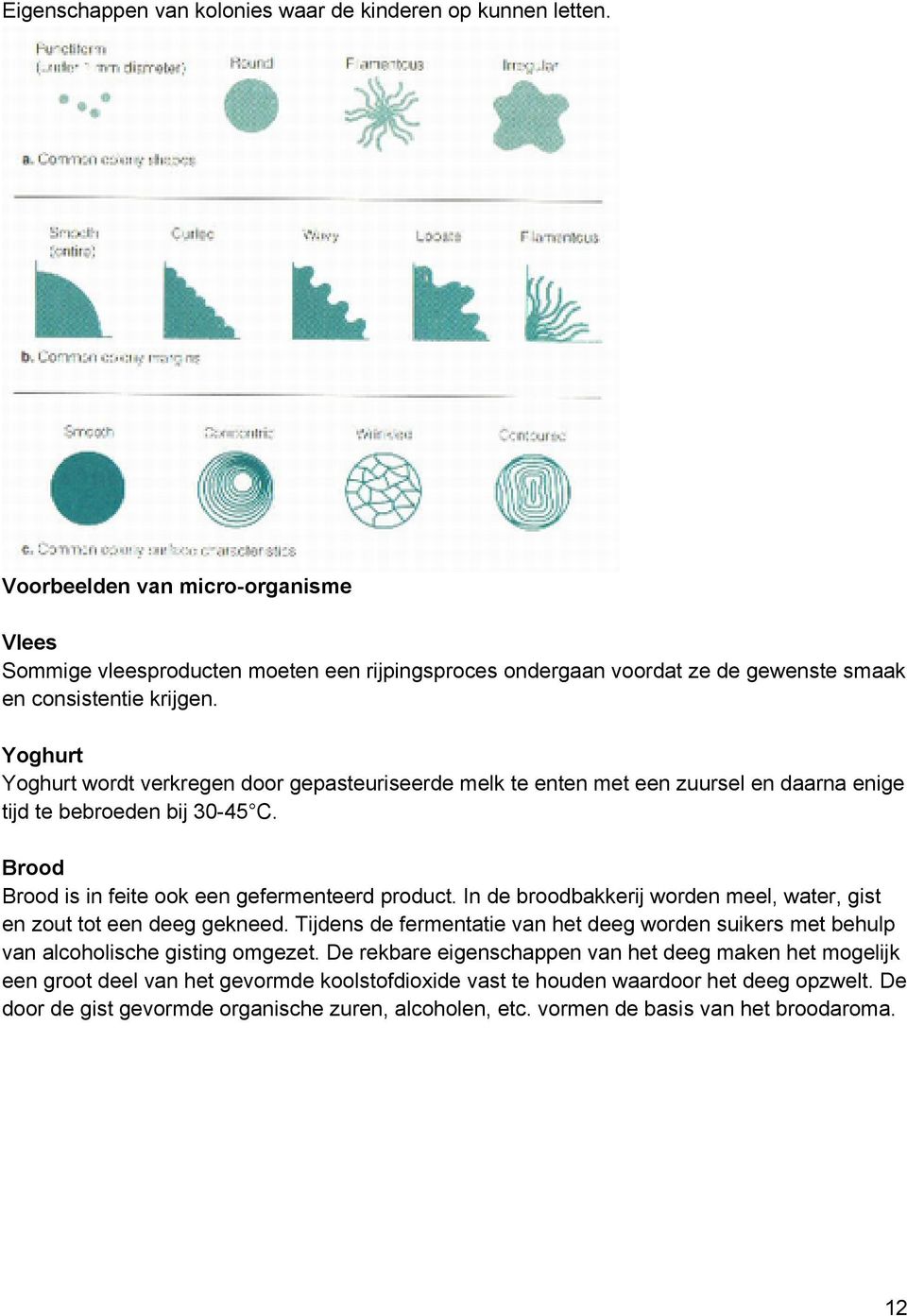 Yoghurt Yoghurt wordt verkregen door gepasteuriseerde melk te enten met een zuursel en daarna enige tijd te bebroeden bij 30-45 C. Brood Brood is in feite ook een gefermenteerd product.