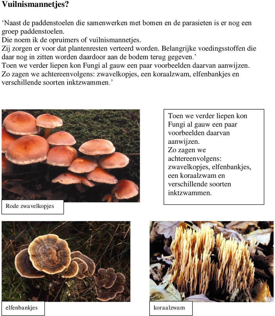 Toen we verder liepen kon Fungi al gauw een paar voorbeelden daarvan aanwijzen.