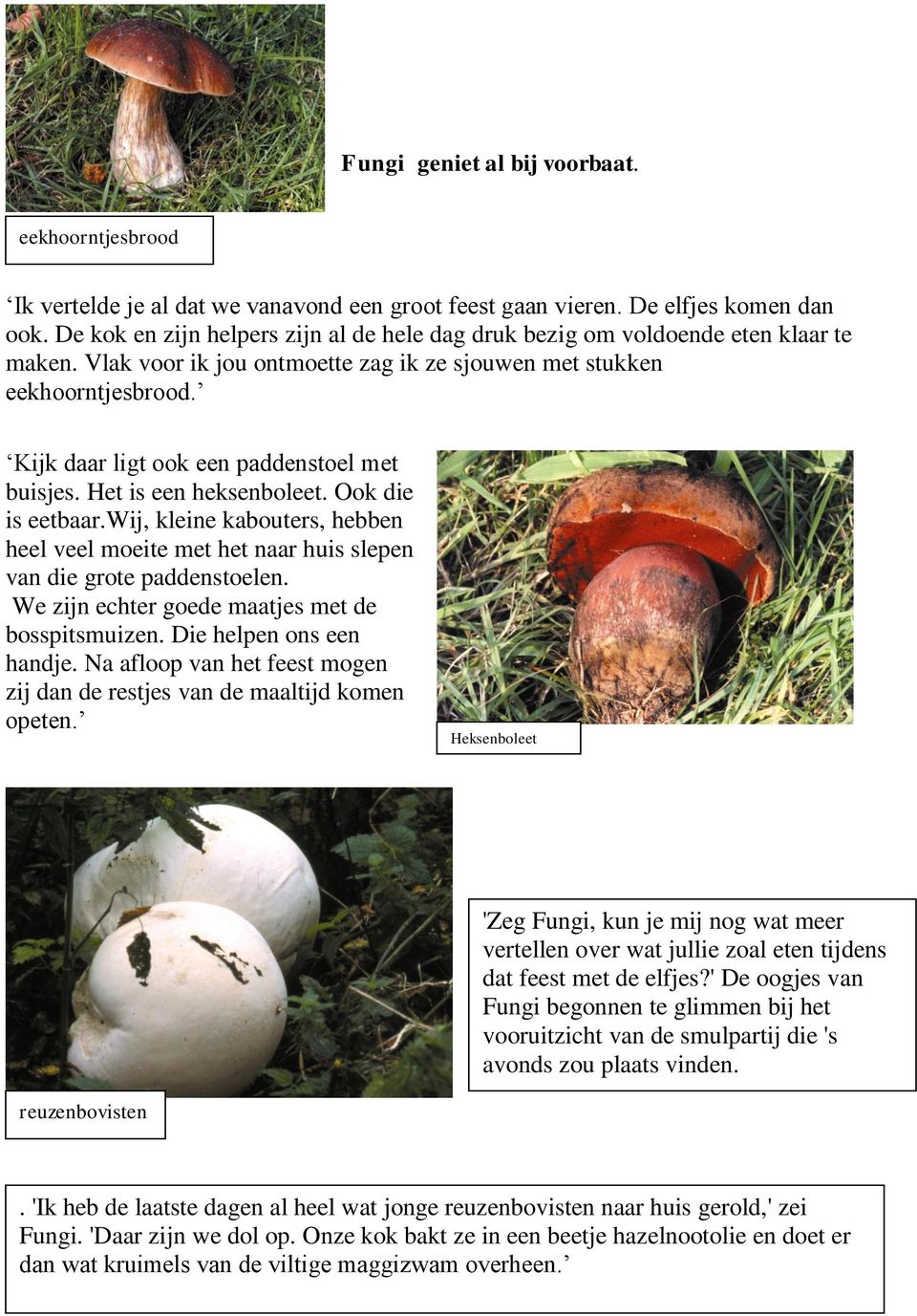 Kijk daar ligt ook een paddenstoel met buisjes. Het is een heksenboleet. Ook die is eetbaar.wij, kleine kabouters, hebben heel veel moeite met het naar huis slepen van die grote paddenstoelen.