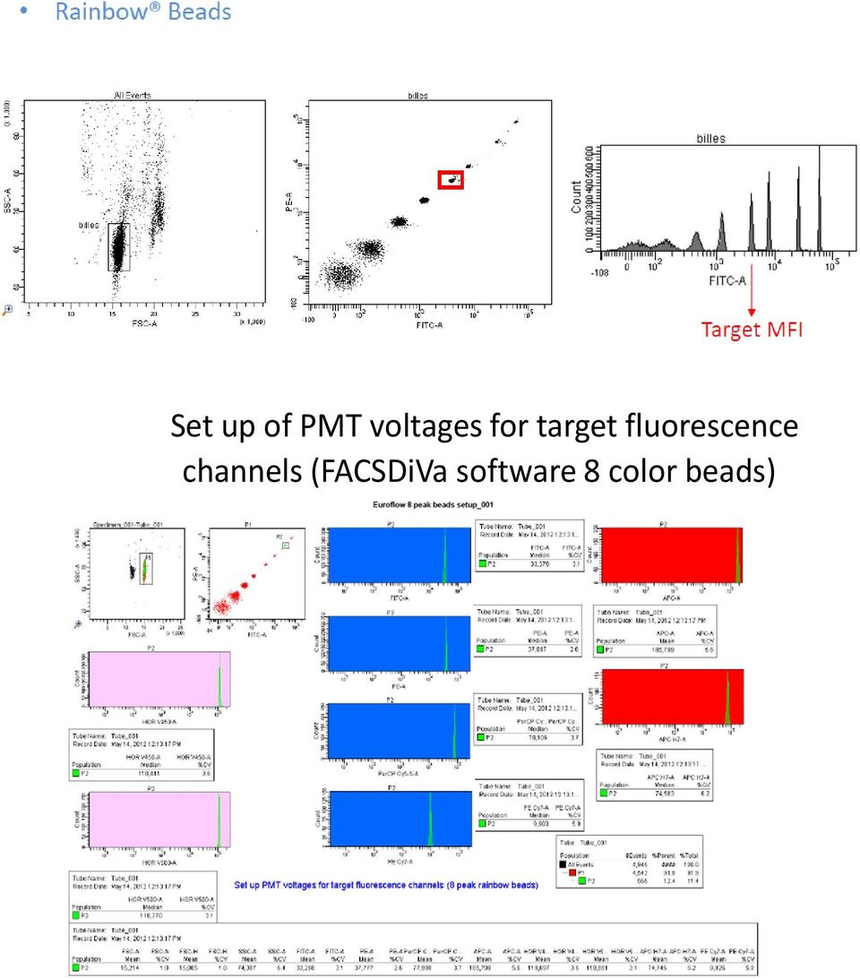 fluorescence channels