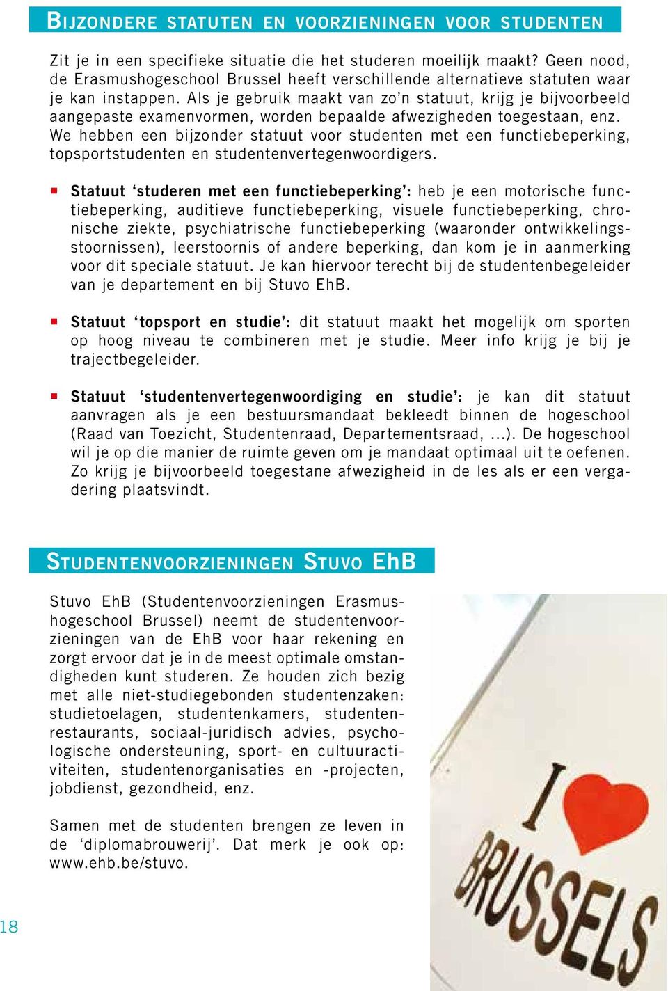 Als je gebruik maakt van zo n statuut, krijg je bijvoorbeeld aangepaste examenvormen, worden bepaalde afwezigheden toegestaan, enz.