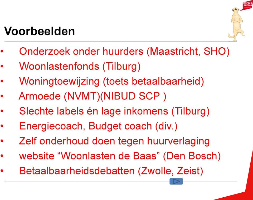 lage inkomens (Tilburg) Energiecoach, Budget coach (div.