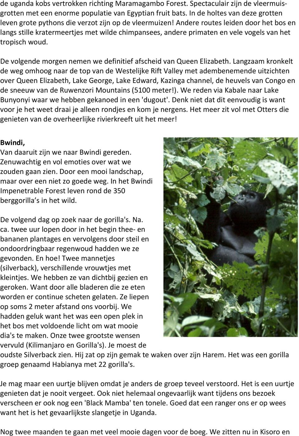 Andere routes leiden door het bos en langs stille kratermeertjes met wilde chimpansees, andere primaten en vele vogels van het tropisch woud.