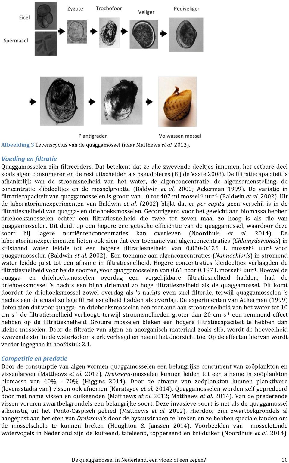 defiltratiecapaciteitis afhankelijk van de stroomsnelheid van het water, de algenconcentratie, de algensamenstelling, de concentratie slibdeeltjes en de mosselgrootte (Baldwin et$ al.