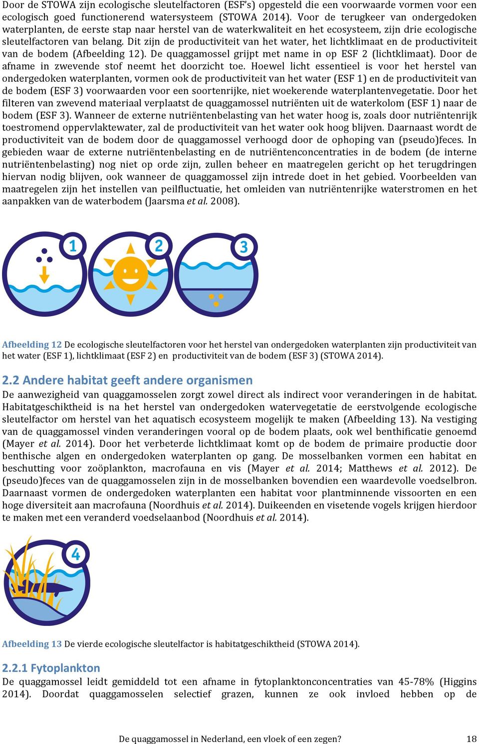 ditzijndeproductiviteitvanhetwater,hetlichtklimaatendeproductiviteit van de bodem (Afbeelding 12). De quaggamossel grijpt met name in op ESF 2 (lichtklimaat).