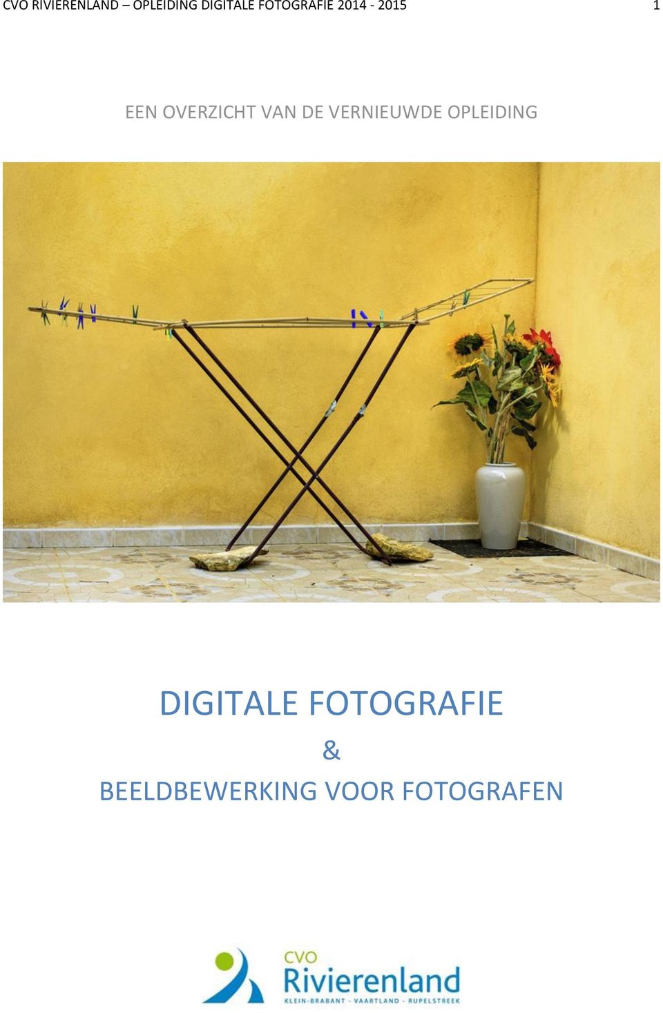 VAN DE VERNIEUWDE OPLEIDING DIGITALE