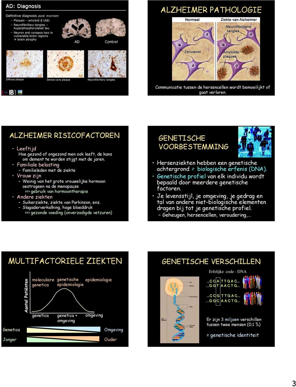 ALZHEIMER RISICOFACTOREN Leeftijd Hoe gezond of ongezond men ook leeft, de kans om dement te worden stijgt met de jaren.