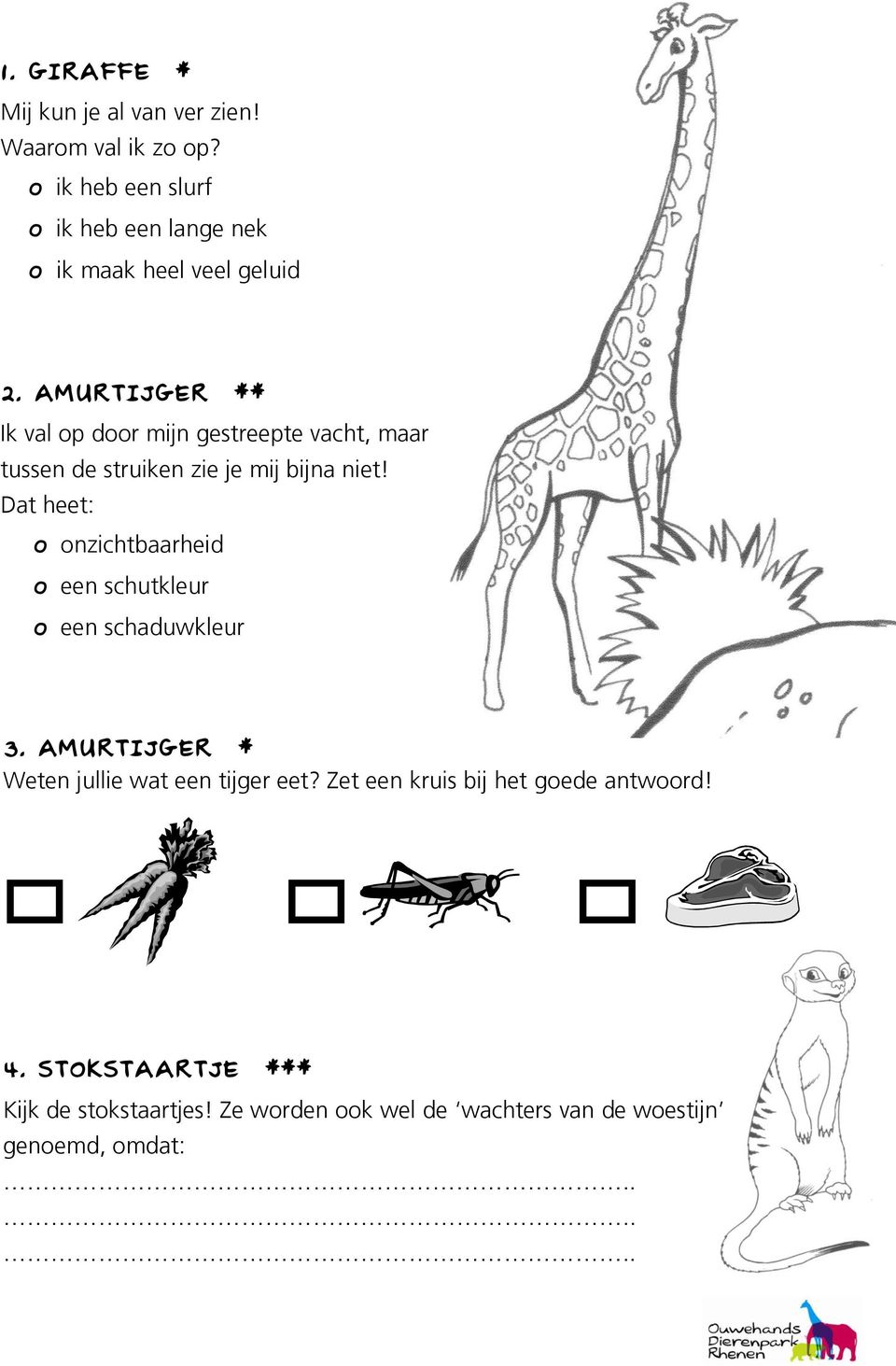 AMURTIJGER ** Ik val op door mijn gestreepte vacht, maar tussen de struiken zie je mij bijna niet!