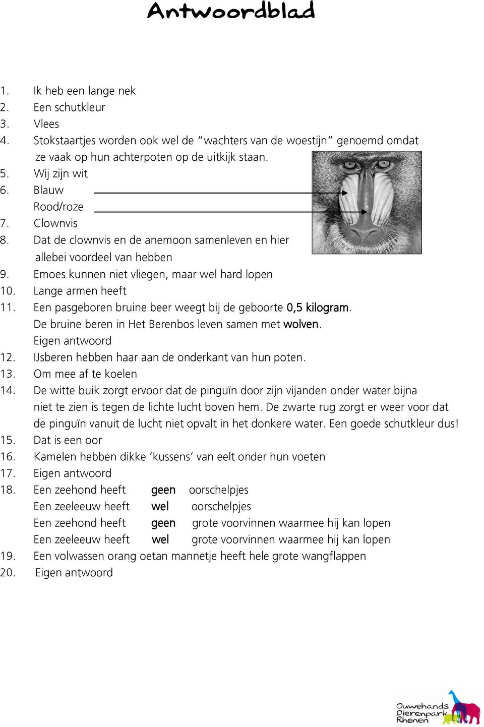 Een pasgeboren bruine beer weegt bij de geboorte 0,5 kilogram. De bruine beren in Het Berenbos leven samen met wolven. Eigen antwoord 12. IJsberen hebben haar aan de onderkant van hun poten. 13.