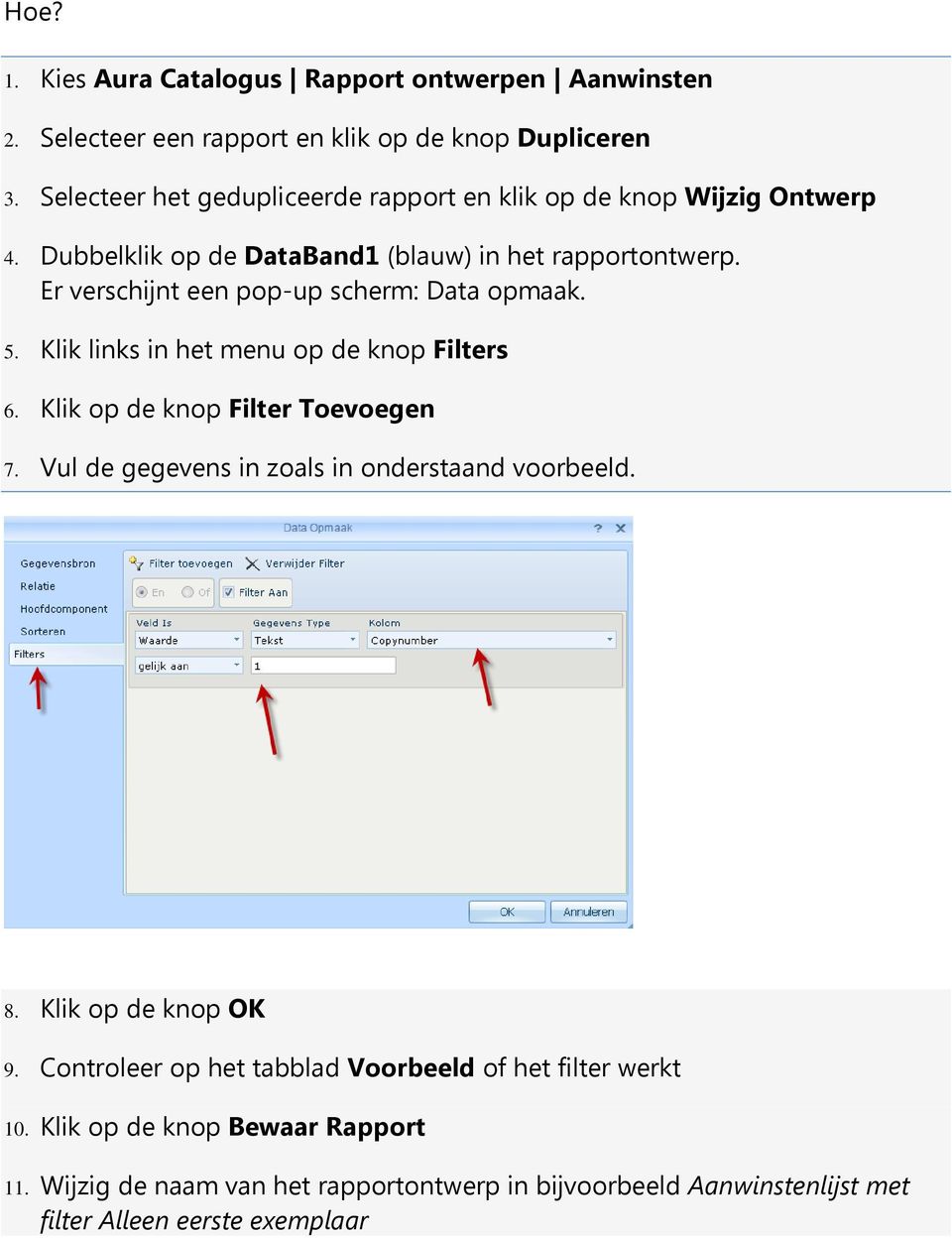 Er verschijnt een pop-up scherm: Data opmaak. 5. Klik links in het menu op de knop Filters 6. Klik op de knop Filter Toevoegen 7.