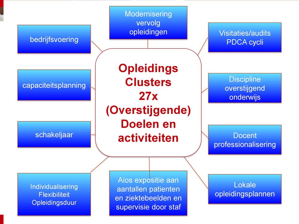 Discipline overstijgend onderwijs Docent professionalisering Individualisering Flexibiliteit