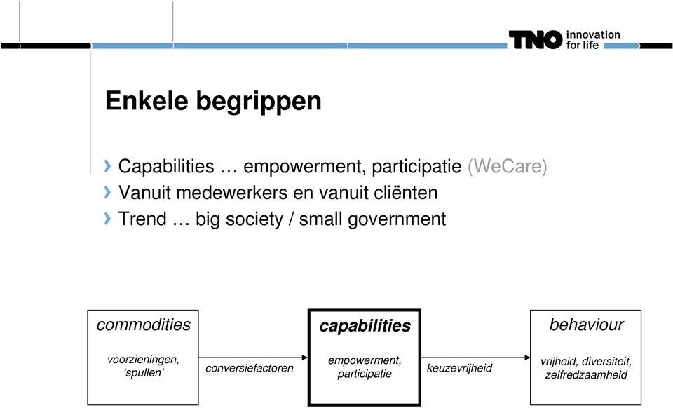 commodities capabilities behaviour voorzieningen, spullen