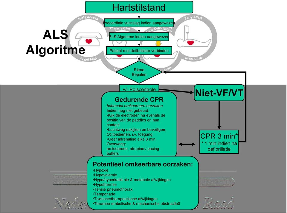 v. toegang Geef adrenaline elke 3 min Overweeg: amiodarone, atropine / pacing buffers Niet-VF/VT CPR 3 min* * 1 min indien na defibrillatie Potentieel omkeerbare oorzaken: