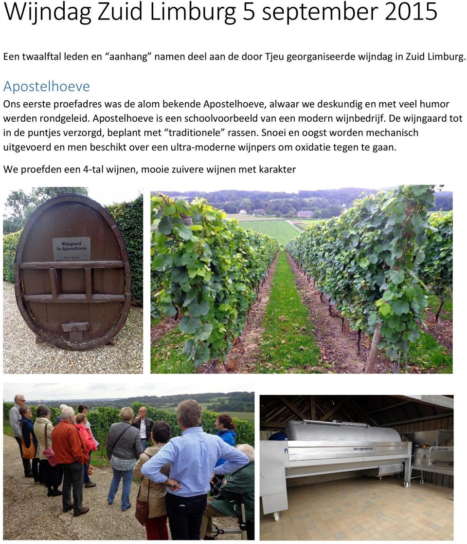 Apostelhoeve is een schoolvoorbeeld van een modern wijnbedrijf. De wijngaard tot in de puntjes verzorgd, beplant met traditionele rassen.