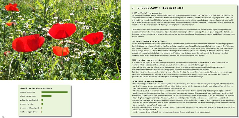 TEEB in de stad is een onderdeel van TEEB-NL en is een project van 12 gemeenten en het ministerie van EL&I, waarin een methode wordt ontwikkeld om de maatschappelijke baten van groenblauwe