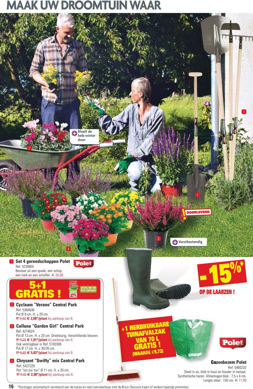 Verschillende kleuren. 2,29B 1,91*/plant bij aankoop van 6. Ook verkrijgbaar in Ref. 5193308. Pot Ø 17 cm. H. ± 30/35 cm. 6,99B 5,83*/plant bij aankoop van 6. 4Chrysant Swifty mix Central Park Ref.