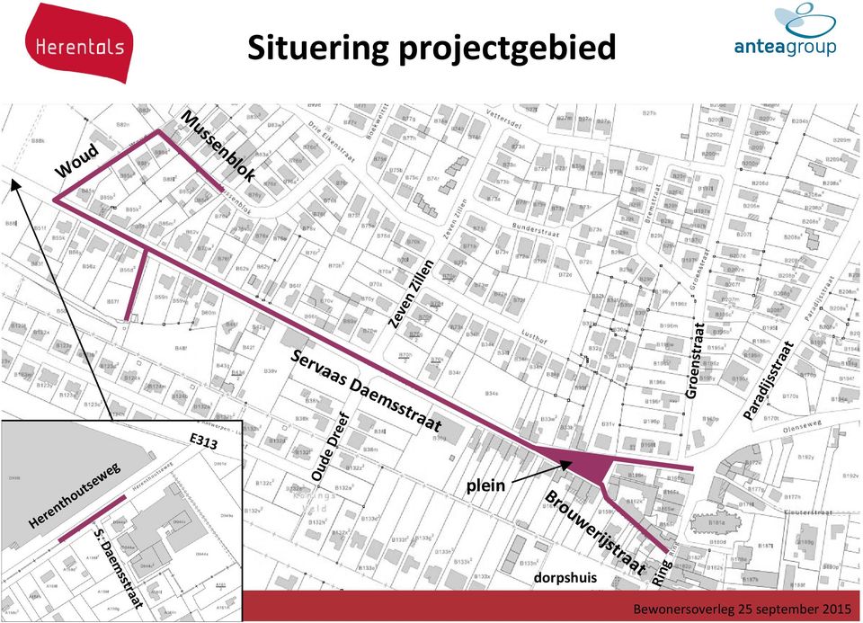 Daemsstraat Oude Dreef E313 plein Ring