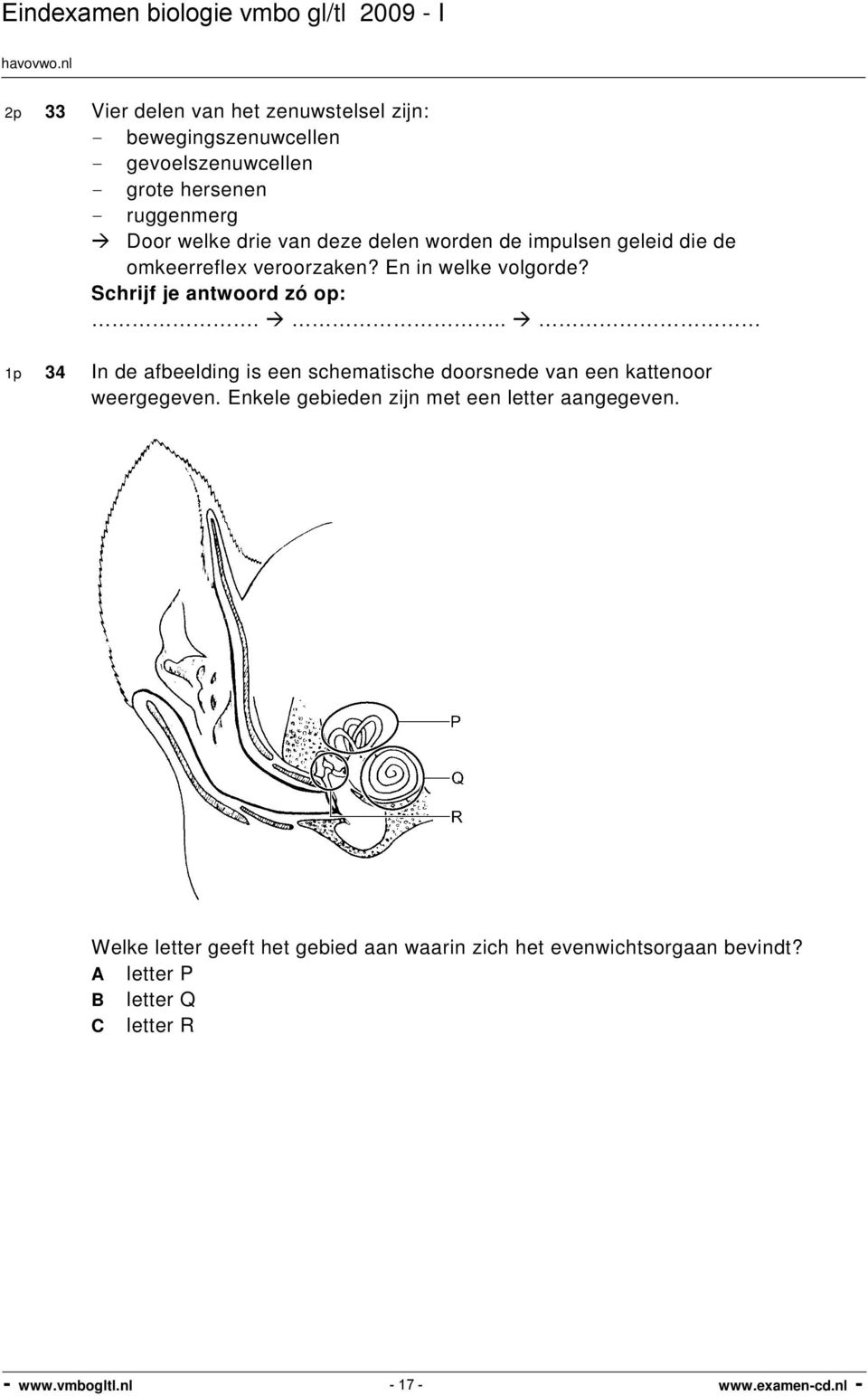 .. 1p 34 In de afbeelding is een schematische doorsnede van een kattenoor weergegeven.