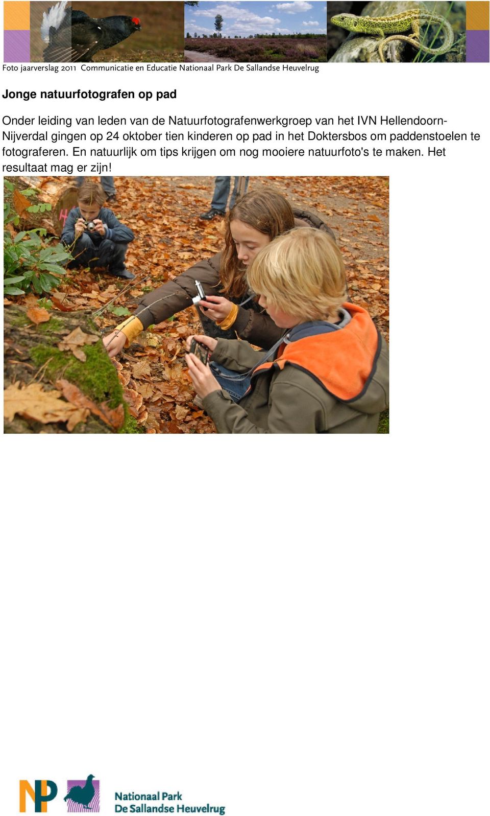 oktober tien kinderen op pad in het Doktersbos om paddenstoelen te