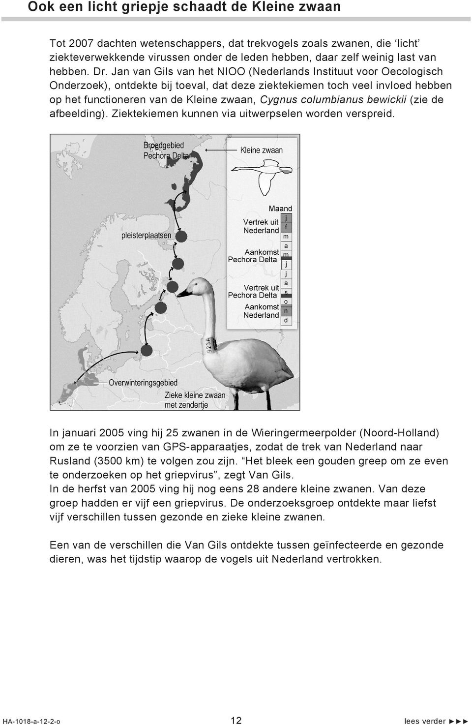 Jan van Gils van het NIOO (Nederlands Instituut voor Oecologisch Onderzoek), ontdekte bij toeval, dat deze ziektekiemen toch veel invloed hebben op het functioneren van de Kleine zwaan, Cygnus