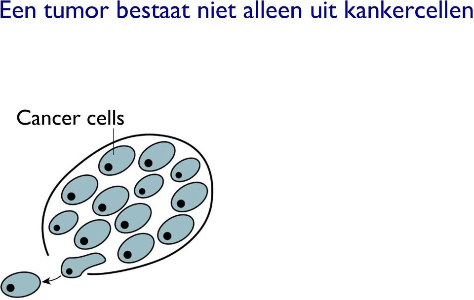 Cancer cells Cancer cells