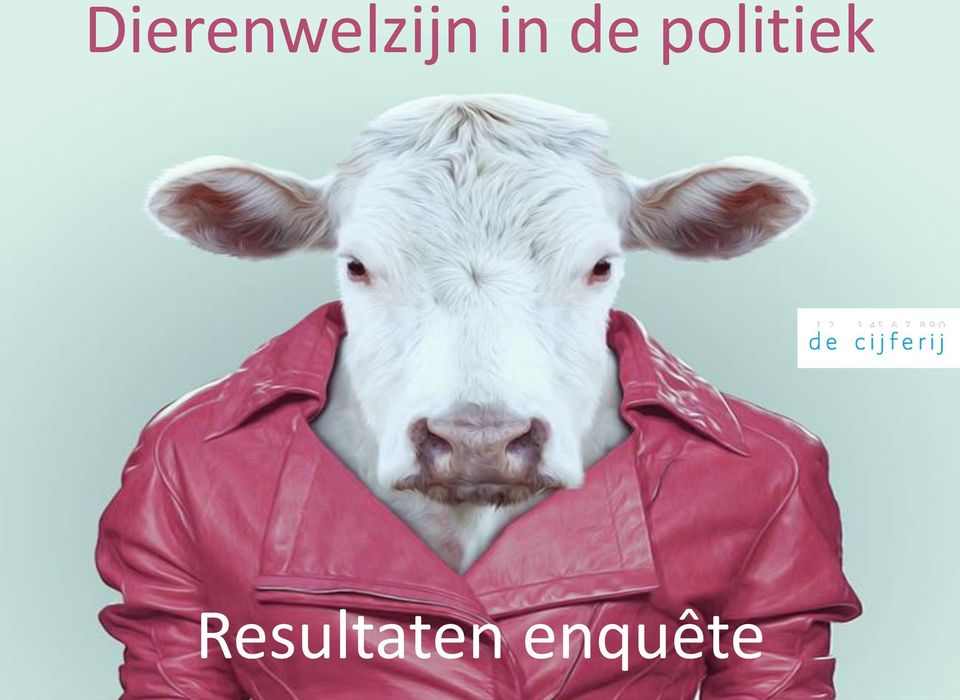 Resultaten enquête