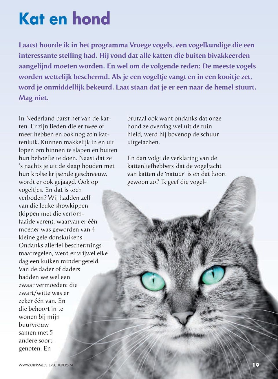 Mag niet. In Nederland barst het van de katten. Er zijn lieden die er twee of meer hebben en ook nog zo'n kattenluik.