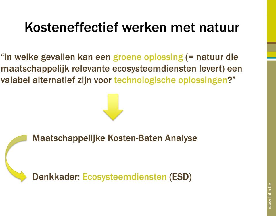 levert) een valabel alternatief zijn voor technologische oplossingen?