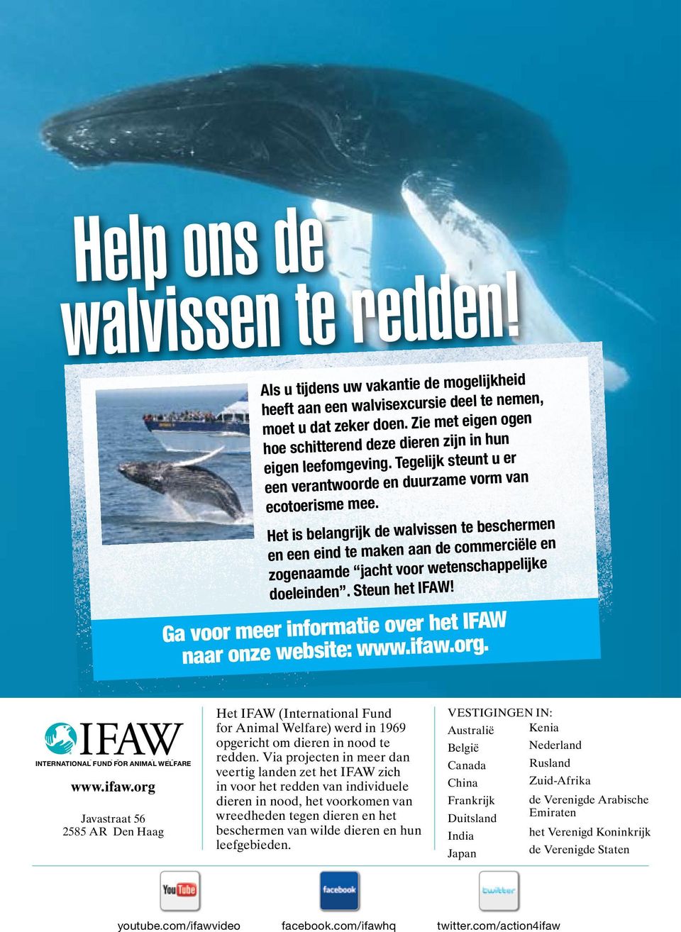 Het is belangrijk de walvissen te beschermen en een eind te maken aan de commerciële en zogenaamde jacht voor wetenschappelijke doeleinden. Steun het IFAW!