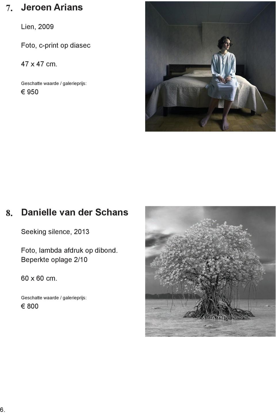 Danielle van der Schans Seeking silence, 2013