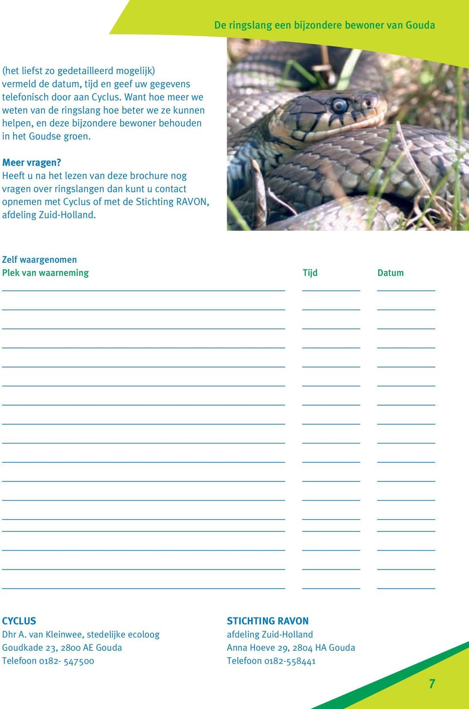 Heeft u na het lezen van deze brochure nog vragen over ringslangen dan kunt u contact opnemen met Cyclus of met de Stichting RAVON, afdeling Zuid-Holland.