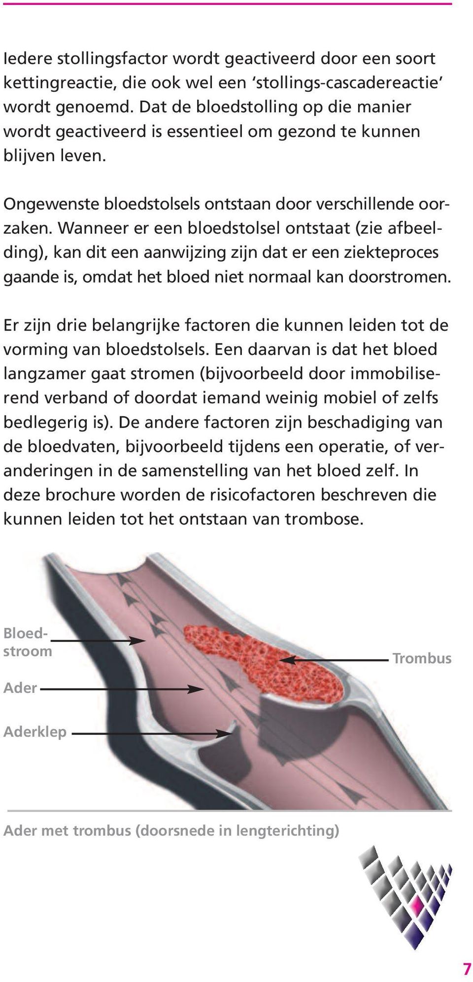 Wanneer er een bloedstolsel ontstaat (zie afbeelding), kan dit een aanwijzing zijn dat er een ziekteproces gaande is, omdat het bloed niet normaal kan doorstromen.